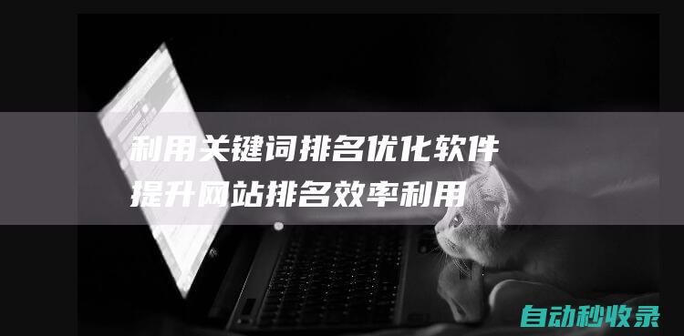 利用關鍵詞排名優化軟件提升網站排名效率 (利用關鍵詞排序的方法)