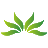 深圳小草信息科技有限公司，為應急、公安、消防等行業提供網絡傳輸解決方案