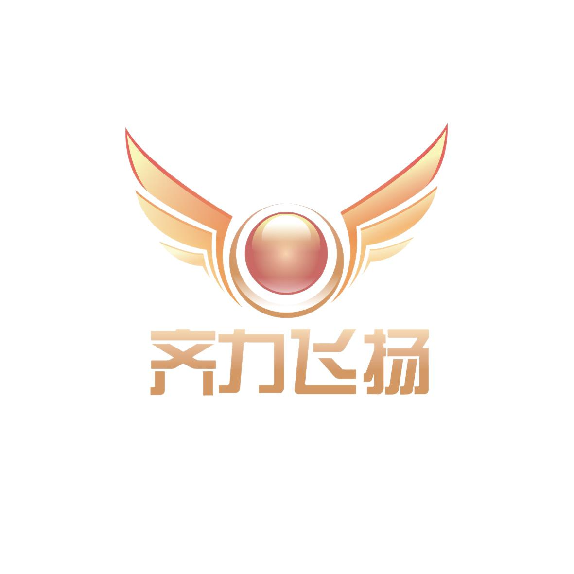 成都齊力飛揚企業管理有限公司