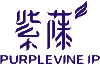 紫藤知識產(chǎn)權(quán) | PurpleVine IP
