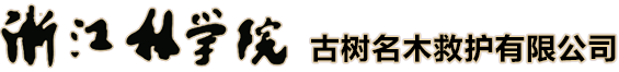 古樹復壯/古樹移植/古樹救護/浙江林學院古樹名木救護有限公司