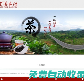 正山堂茶業|普安紅茶|貴州茶葉公司就找貴州正山堂普安紅茶業有限責任公司