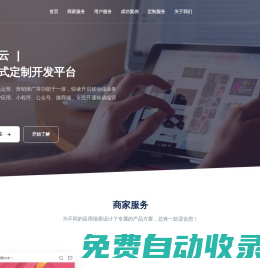 專業系統開發商-預付云