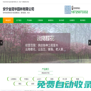 安寧金冠華園林有限公司、云南綠化樹(shù)木種植批發(fā)零售、云南綠化帶植物種植公司、云南花卉植物樹(shù)木批發(fā)、云南苗圃種植公司、櫻花冬櫻花山玉蘭老人葵批發(fā)零售、安寧園林綠化樹(shù)木公司、云南安寧苗圃種植基地