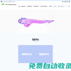 麥科斯普生物-高端生物醫學科研服務-Beijing Maikesipu Biotechnology Company Limited