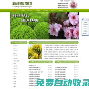 洛陽普澤苗木基地，洛陽普澤綠化工程苗木基地，綠化苗木基地