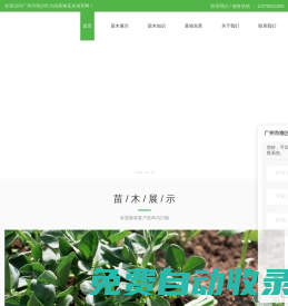 廣州花木場-廣州苗木批發(fā)-林木工程公司-廣州市南沙區(qū)大崗美琳花木場
