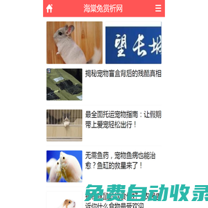 布偶貓,比利時獵犬知識網(wǎng)_海棠兔賞析網(wǎng)