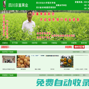 成都天府新區(qū)裴忠富果業(yè)精品開發(fā)服務(wù)部