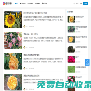 月季苗木批發(fā)基地_園林綠化苗木價(jià)格_花田園林