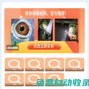 查鴿天下-信鴿足環號查詢-查鴿網