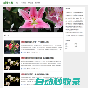 雪在香盆景網 - 國內最專業室內盆景，花卉盆栽在線交易第一平臺