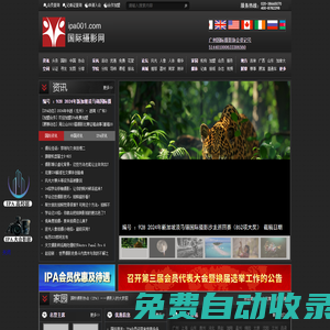 國際攝影協(xié)會(huì)-國際攝影網(wǎng)