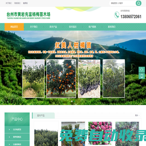 臺(tái)州市黃巖先富楊梅苗木場(chǎng)/東魁楊梅苗,白沙枇杷苗,紅美人柑橘苗