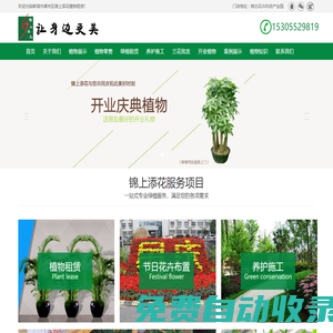 專業辦公室植物租賃價格！為您提供室內優質盆栽、租花卉、綠植租擺零售批發一體化服務 - 蚌埠錦上添花植物租售公司
