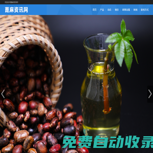 蓖麻資訊網(wǎng)