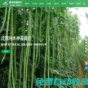 沈陽(yáng)陵豐種苗商行_豇豆種子_蕓豆種子