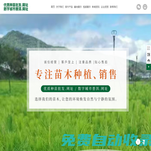云南優質種苗批發_寧洱苗木批發_普洱苗木銷售_云南苗木供應_寧洱便民苗圃