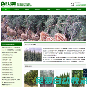 雪松_雪松價格_雪松小苗_雪松基地--南京跨世紀雪松苗圃場