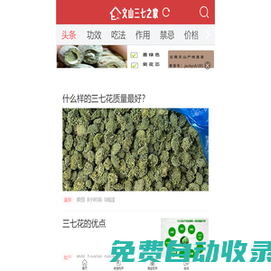 文山三七之家-三七專業(yè)網(wǎng)站,三七粉,三七花等功效,作用,正確吃法,禁忌,價格,批發(fā),零售報價網(wǎng)站