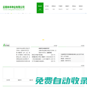 云南林豐種業(yè)有限公司