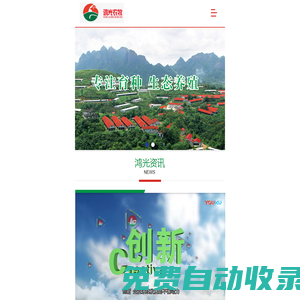 廣西鴻光農(nóng)牧有限公司_黃羽雞
