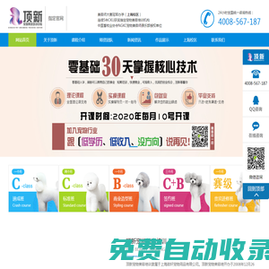 上海|成都寵物美容培訓學校_學習寵物美容多少錢|費用-頂新寵物美容培訓