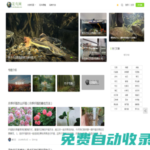 花鳥網-花鳥魚蟲愛好者的聚集地