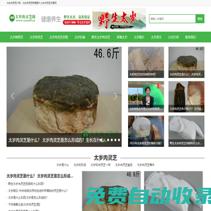 太歲肉靈芝網(wǎng)-太歲肉靈芝價格_天然野生太歲圖片大全