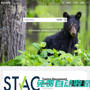 易云必應(yīng)壁紙 每日歷史壁紙查看