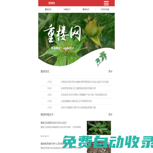 重樓的功效與作用-重樓種植技術-重樓網