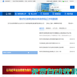 廣西柳州市行政審批局網(wǎng)站