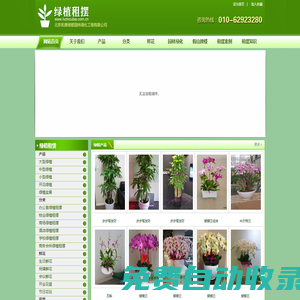 綠植租擺-綠色植物-北京綠植租擺-辦公室綠植租擺-綠植租賃