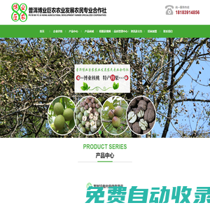 普洱博業巨農農業發展農民專業合作社 官網_農業_紙皮核桃_核桃苗_櫻桃樹_櫻桃_晚熟芒果_晚熟芒果苗_梨樹_桃樹_李子樹_櫻桃李樹