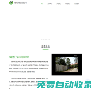 土雞蛋-綠殼蛋-烏雞蛋批發(fā)-成都市楊子農業(yè)有限公司