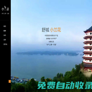 舒城小蘭花茶|安徽名茶_六安特產(chǎn)_國(guó)家地理標(biāo)志產(chǎn)品