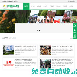 沭陽國際花木城_專業(yè)綠化苗木花卉盆景批發(fā)市場【官網(wǎng)】