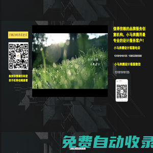 小馬奔騰設(shè)計(jì)歡迎您！