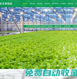 東莞蔬菜公司_東莞蔬菜配送_東莞蔬菜批發-廣東山農農業集團有限公司