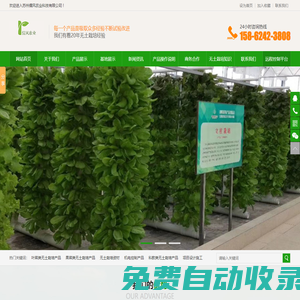 蘇州儒風農業-無土栽培專業深耕精作