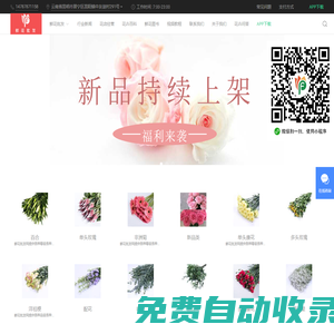 鮮花批發xhpf.com-云南昆明嘉佳花卉優質鮮花采購批發平臺網站