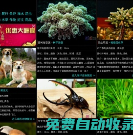 Sbike，識(shí)百客，動(dòng)植物百科網(wǎng)，國(guó)內(nèi)最專業(yè)的動(dòng)物、寵物、植物、花卉科普信息分類、資料速查網(wǎng)站，足不出戶的動(dòng)植物樂園！
