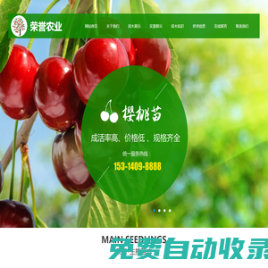 蘋果苗-矮化蘋果苗-無花果苗-梨樹/櫻桃樹/蘋果樹/核桃樹/冬棗樹苗-泰安高新區(qū)榮譽(yù)農(nóng)業(yè)科技有限公司