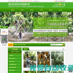 瓜蔞苗_瓜蔞種植基地_瓜蔞種植效益-潛山市天寶農(nóng)業(yè)開(kāi)發(fā)有限公司