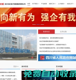 四川長(zhǎng)虹電子控股集團(tuán)有限公司