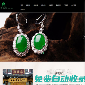 上海張鐵軍實業(yè)集團有限公司