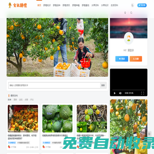 安遠臍橙網-江西贛南臍橙批發、零售、代理綜合信息平臺