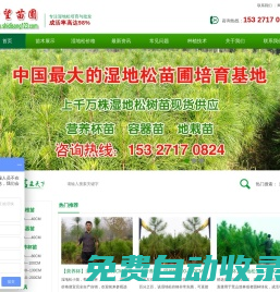 電視劇念無雙免費觀看完整版在線全集-希望影視