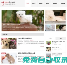 茶杯犬,茶杯貓,小香豬,迷你袖珍泰迪貴賓狗 - 茶杯寵物網(wǎng)
