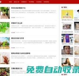 捧推八卦網